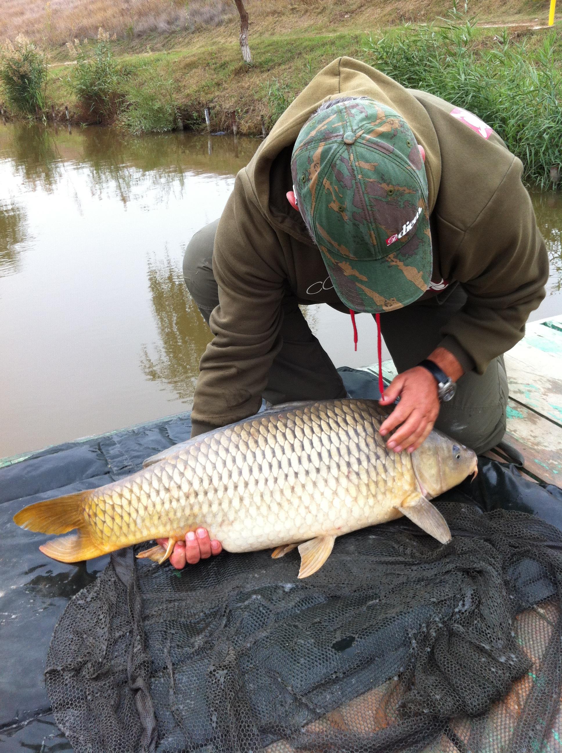 Moara Vlasiei - 2173.JPG